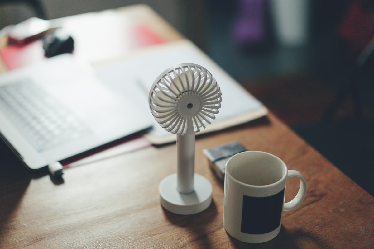 Plafondventilator zomer en winterstand: het hele jaar comfort